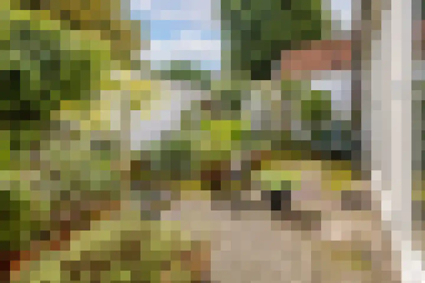 Wittevrouwensingel 8 Utrecht thumbnail 15
