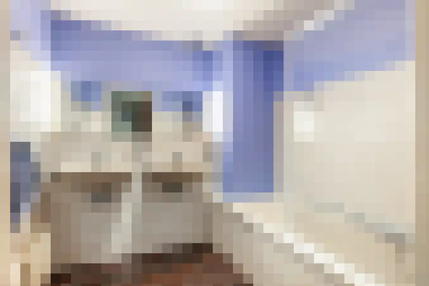 Wittevrouwensingel 8 Utrecht thumbnail 20