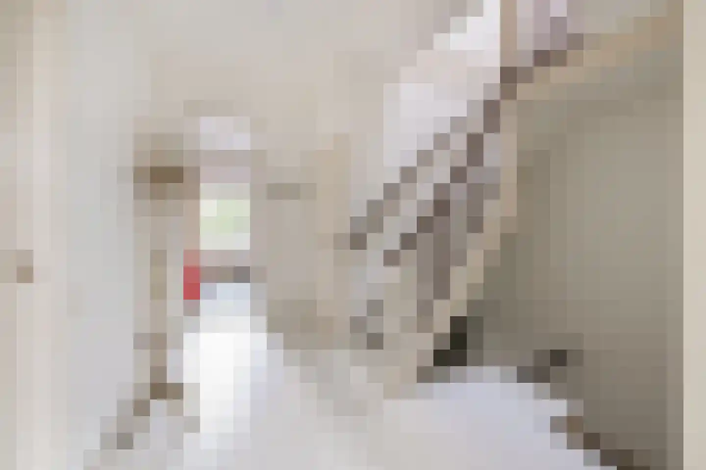 Wittevrouwensingel 8 Utrecht thumbnail 21