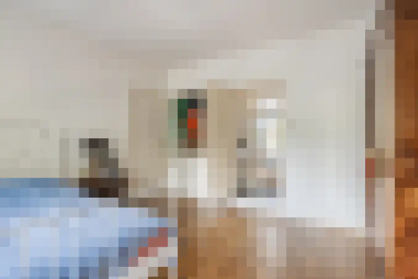 Wittevrouwensingel 8 Utrecht thumbnail 35