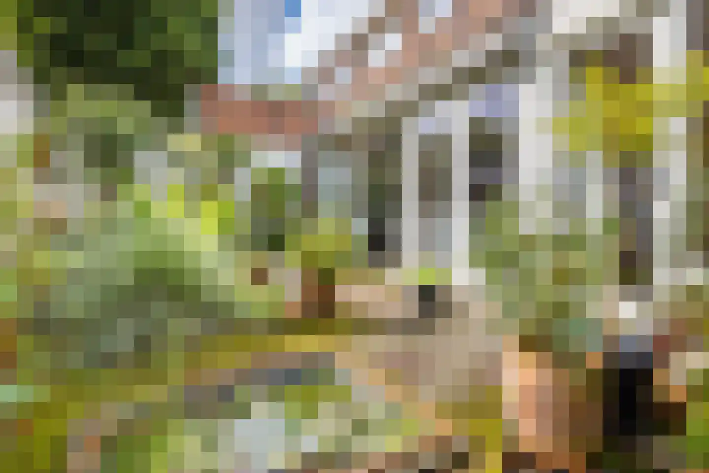 Wittevrouwensingel 8 Utrecht thumbnail 4