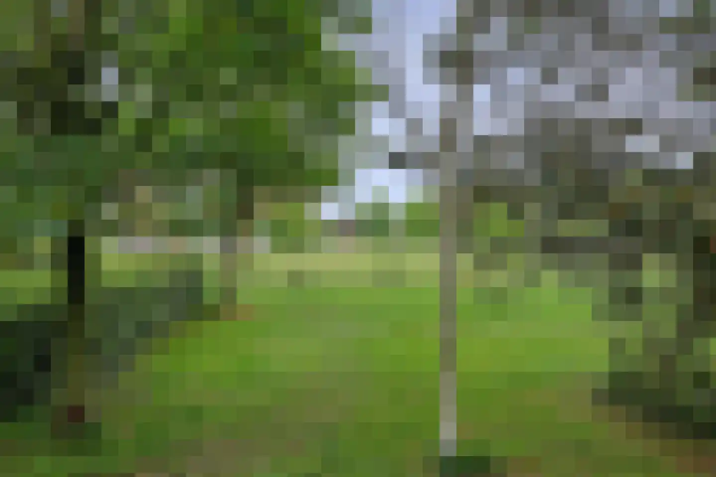 Wittevrouwensingel 85 B Utrecht thumbnail 28