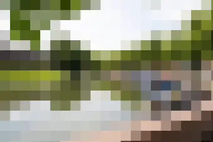 Wittevrouwensingel 89 Utrecht thumbnail 21