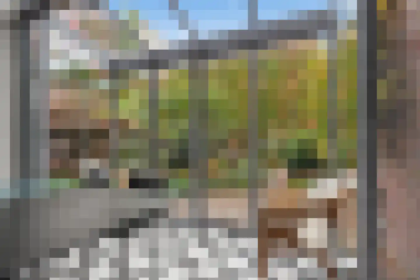 Wittevrouwensingel 97 Utrecht thumbnail 21