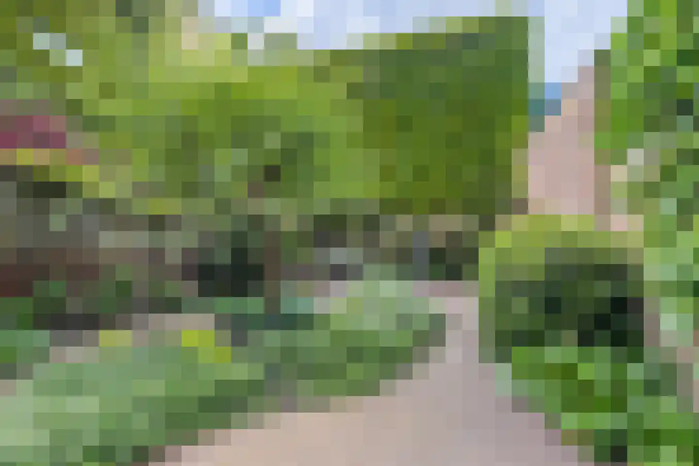 Wittevrouwensingel 97 Utrecht thumbnail 23