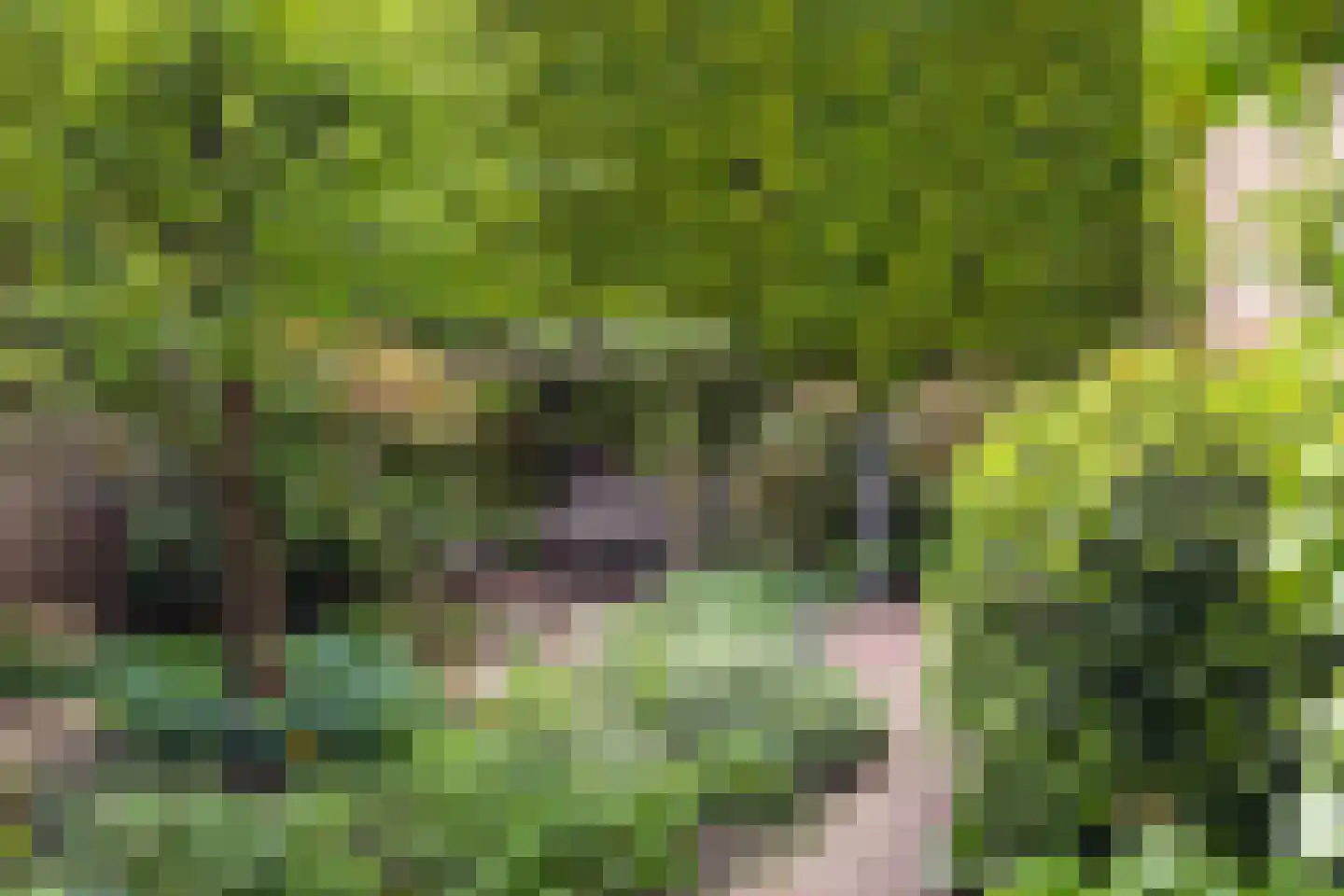 Wittevrouwensingel 97 Utrecht thumbnail 24