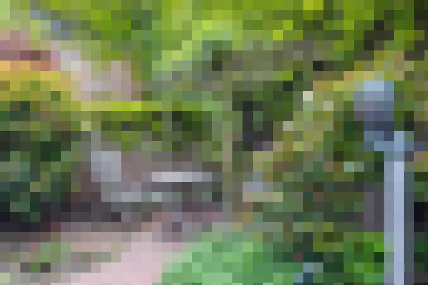Wittevrouwensingel 97 Utrecht thumbnail 25