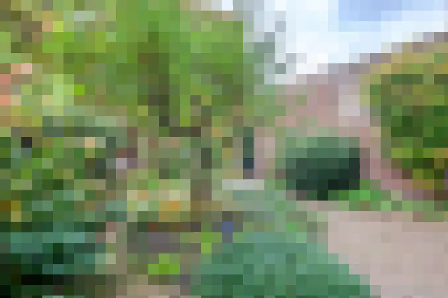 Wittevrouwensingel 97 Utrecht thumbnail 26