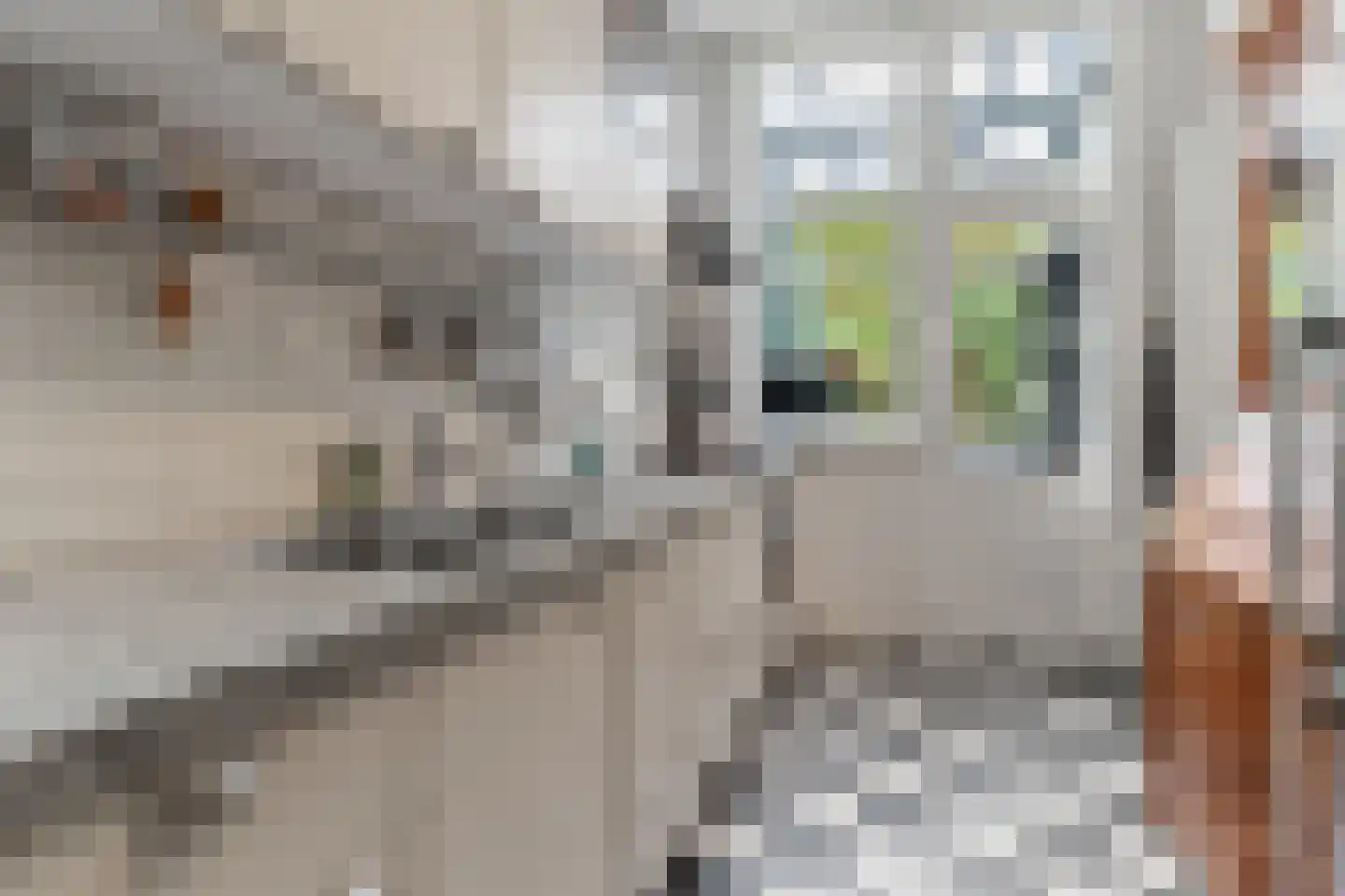 Wittevrouwensingel 97 Utrecht thumbnail 32
