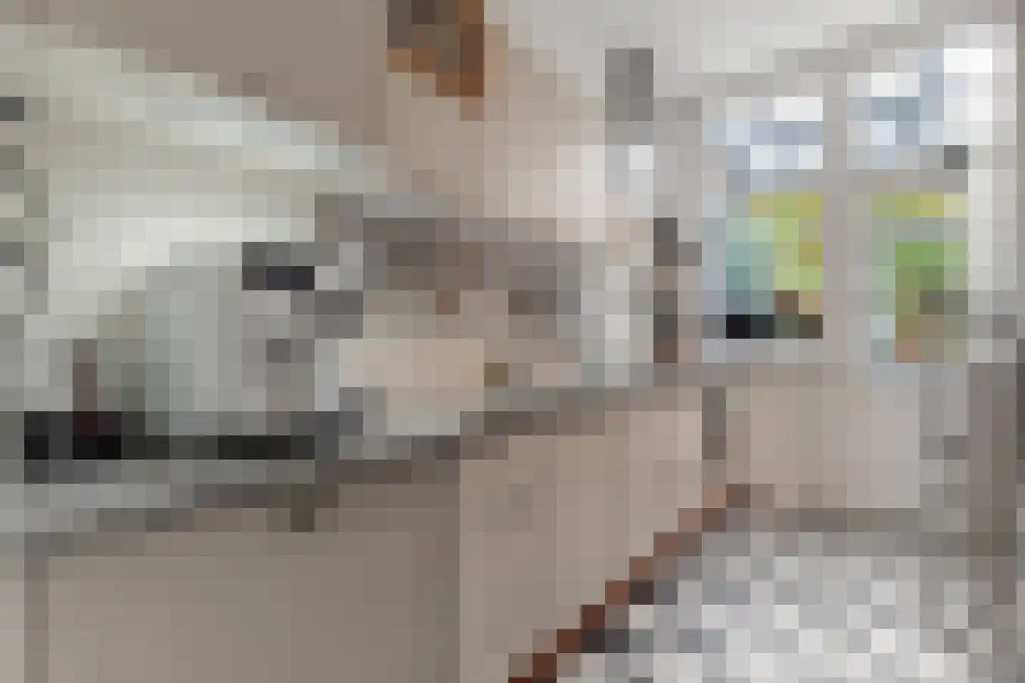 Wittevrouwensingel 97 Utrecht thumbnail 33