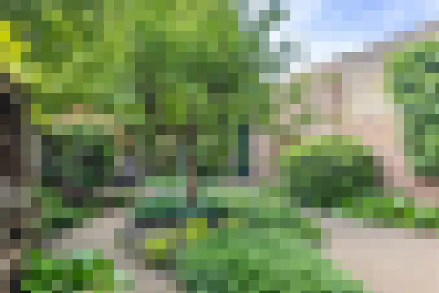 Wittevrouwensingel 97 Utrecht thumbnail 5