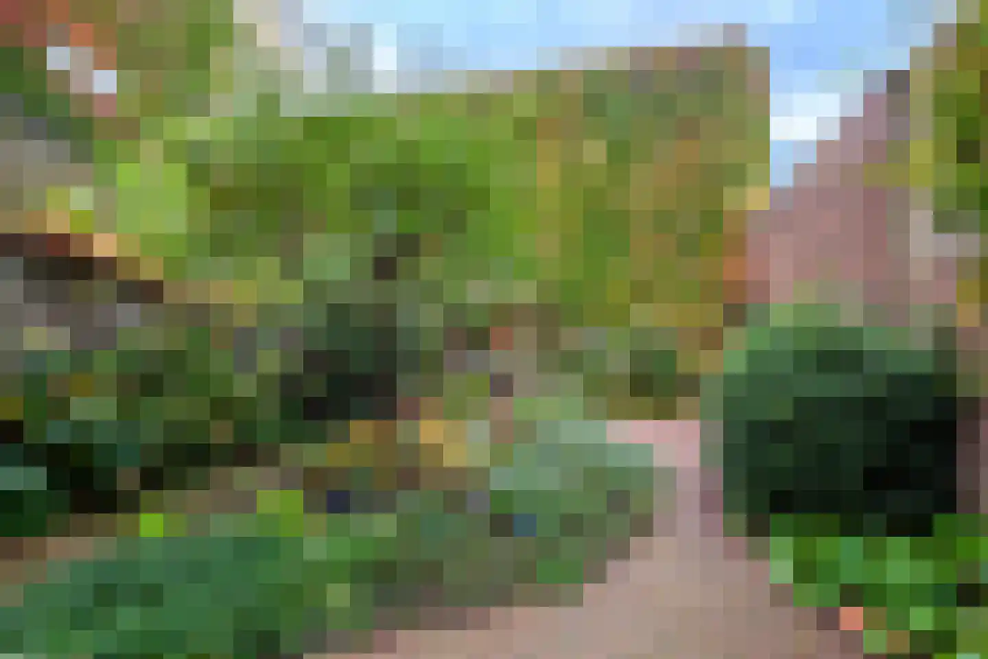 Wittevrouwensingel 97 Utrecht thumbnail 5
