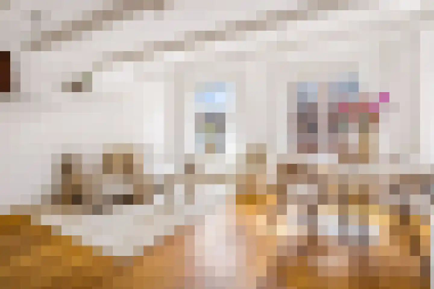 Wittevrouwenstraat 28 B Utrecht thumbnail 15