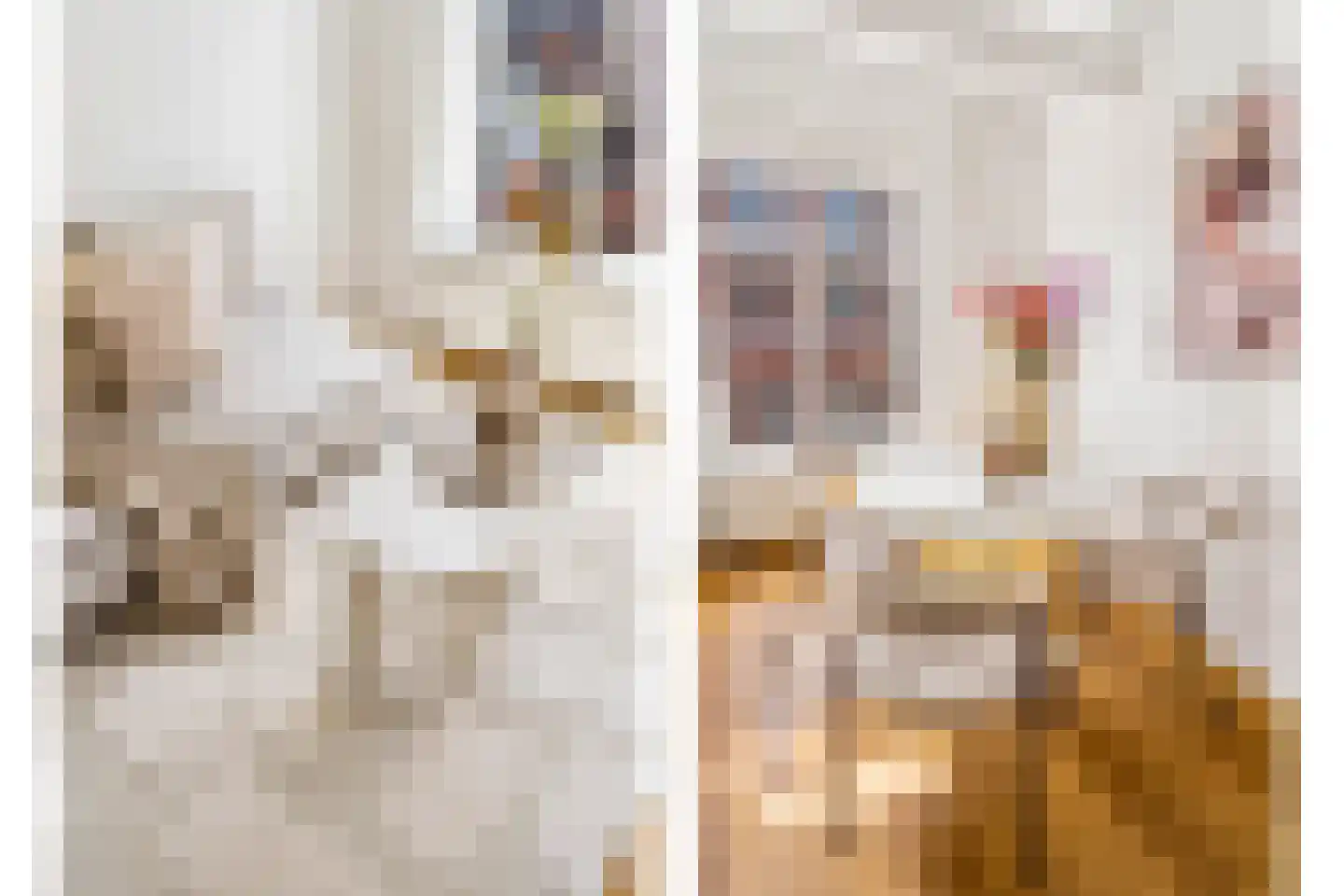 Wittevrouwenstraat 28 B Utrecht thumbnail 19