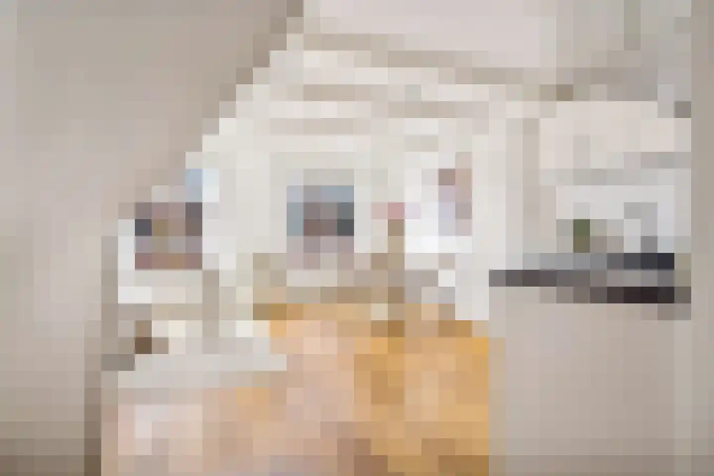 Wittevrouwenstraat 28 B Utrecht thumbnail 5