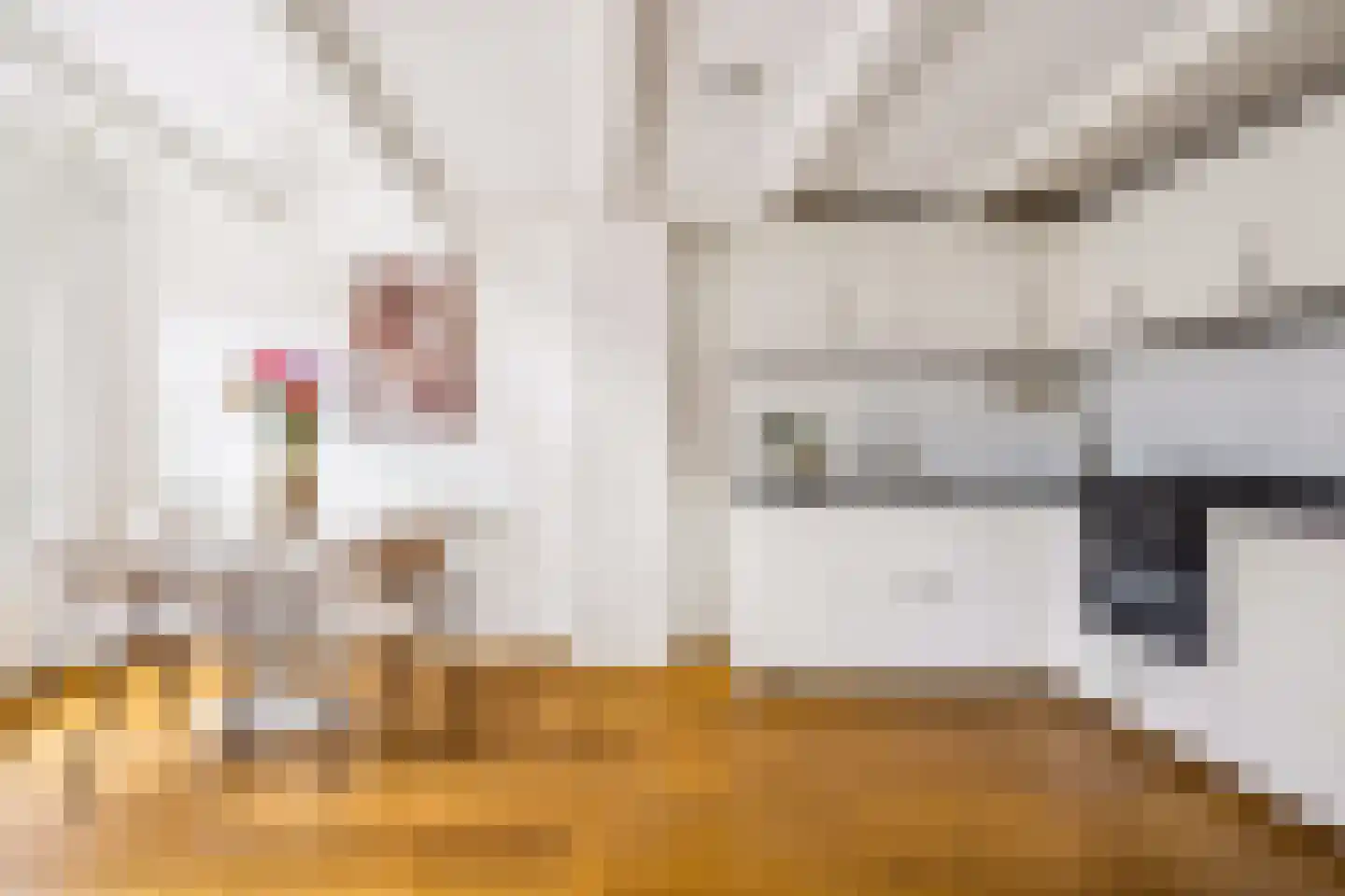Wittevrouwenstraat 28 B Utrecht thumbnail 8