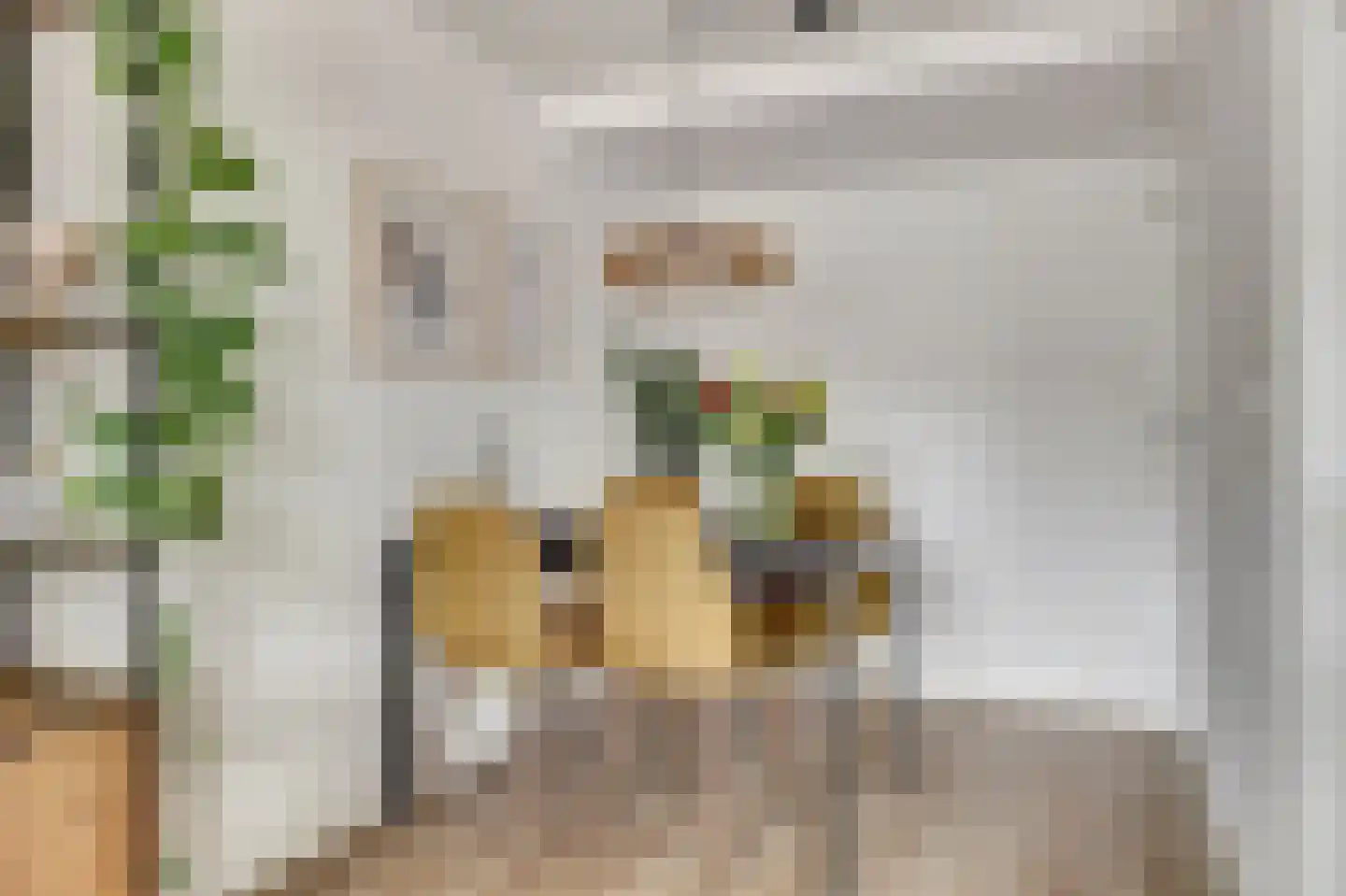Wittevrouwenstraat 34 J Utrecht thumbnail 10