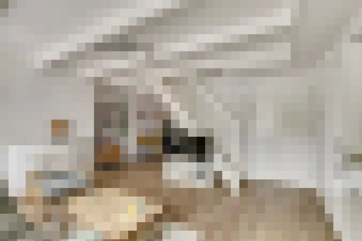 Wittevrouwenstraat 34 J Utrecht thumbnail 5
