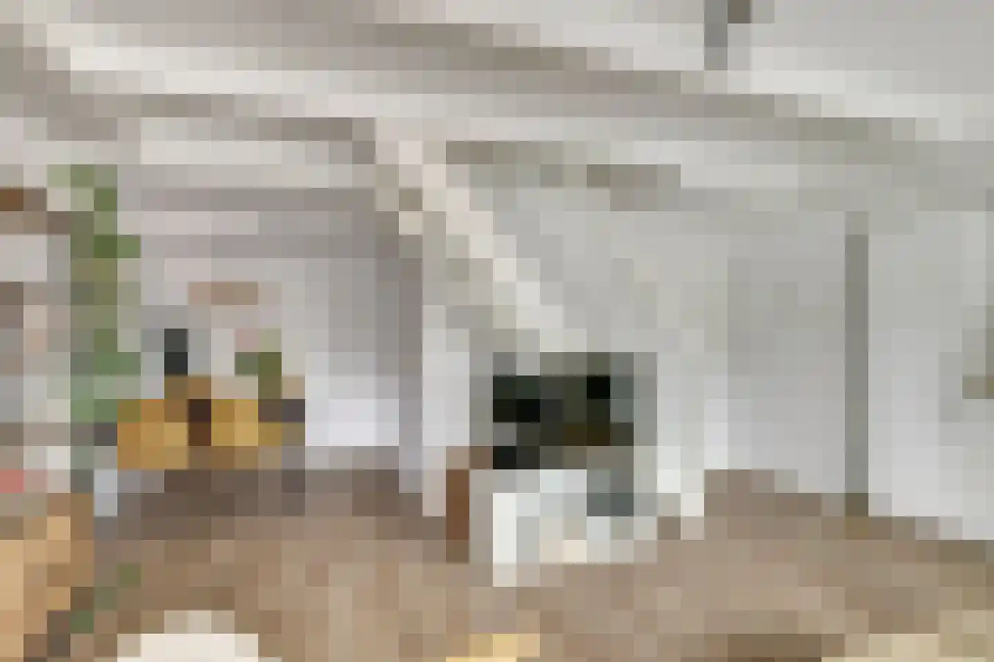 Wittevrouwenstraat 34 J Utrecht thumbnail 7