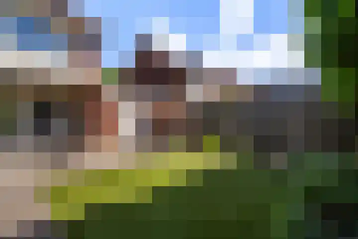 Wittevrouwenstraat 34 Weert thumbnail 38