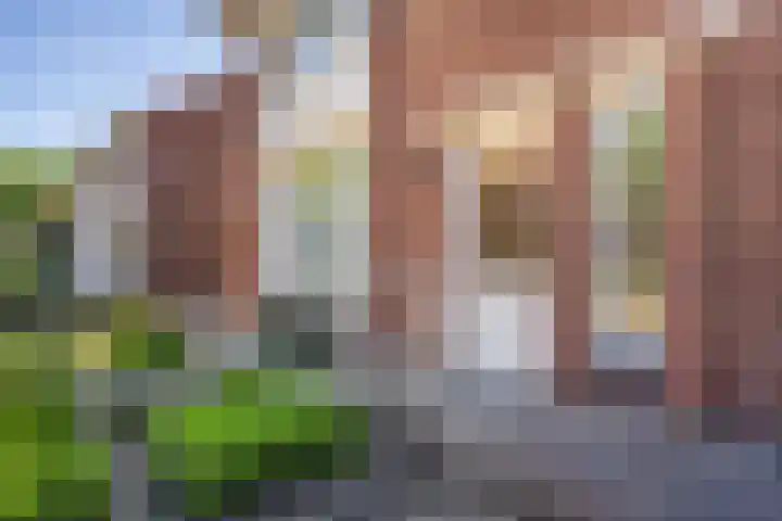 Wittevrouwenstraat 34 Weert thumbnail 8
