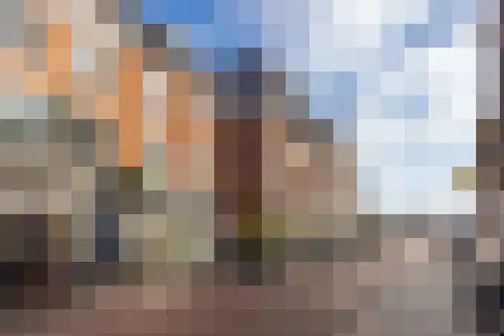 Wittevrouwenstraat 38 C Utrecht thumbnail 23