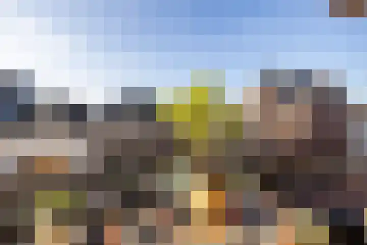 Wittevrouwenstraat 38 C Utrecht thumbnail 9