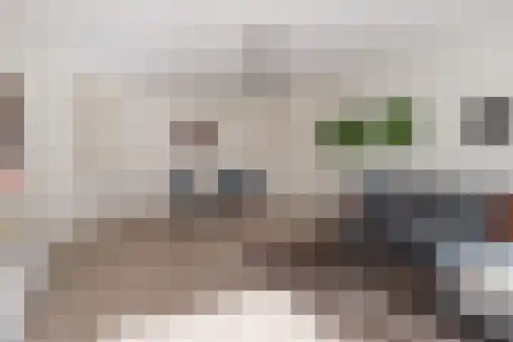 Wittevrouwenstraat 38 H Utrecht thumbnail 13
