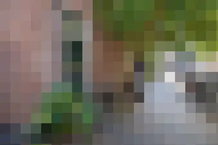 Wittevrouwenstraat 38 H Utrecht thumbnail 7