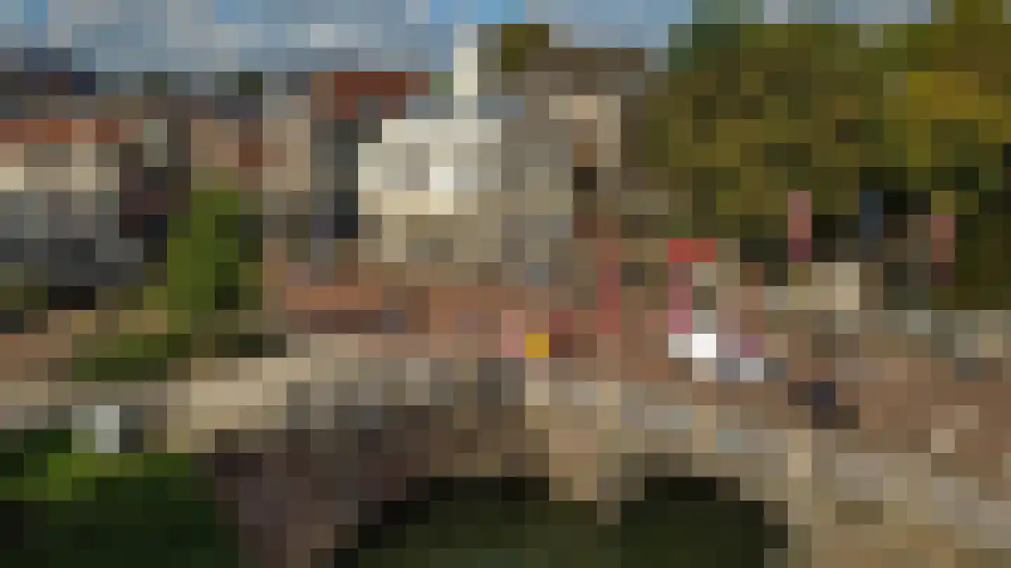 Wittevrouwenstraat 40 A Utrecht thumbnail 23