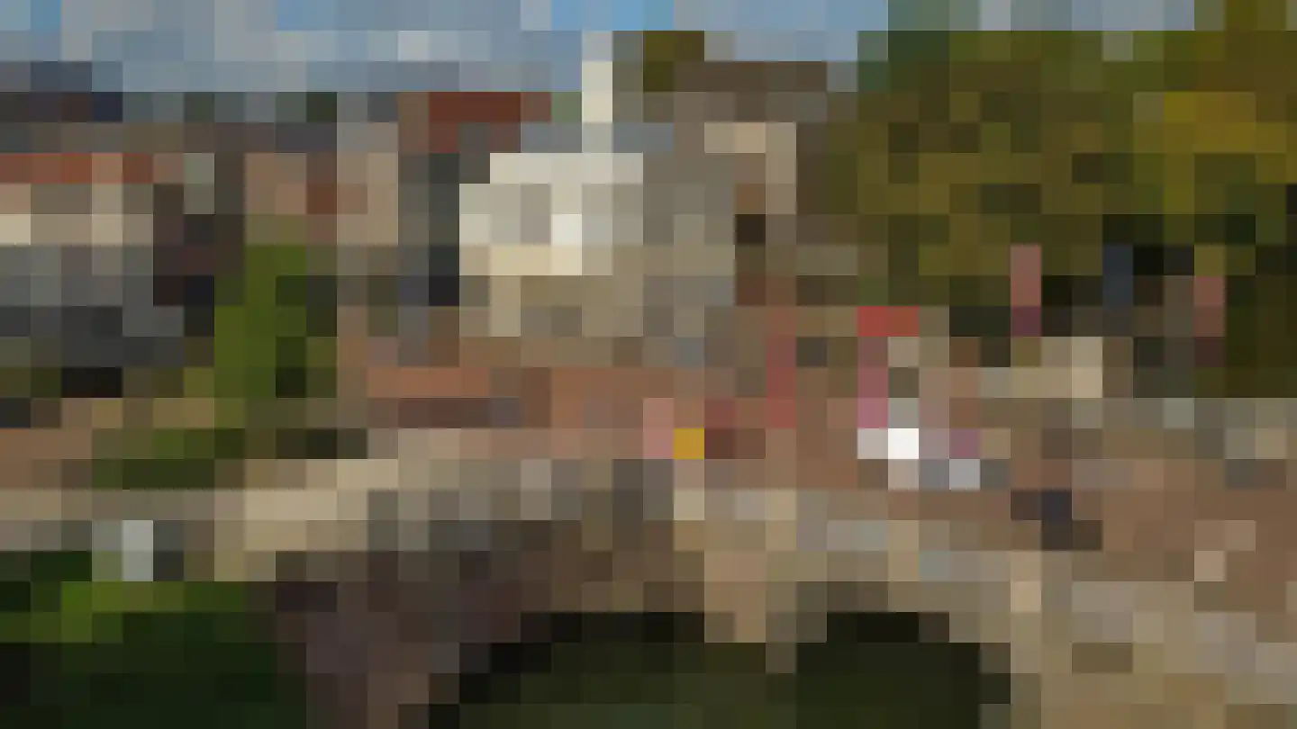 Wittevrouwenstraat 40 C Utrecht thumbnail 20