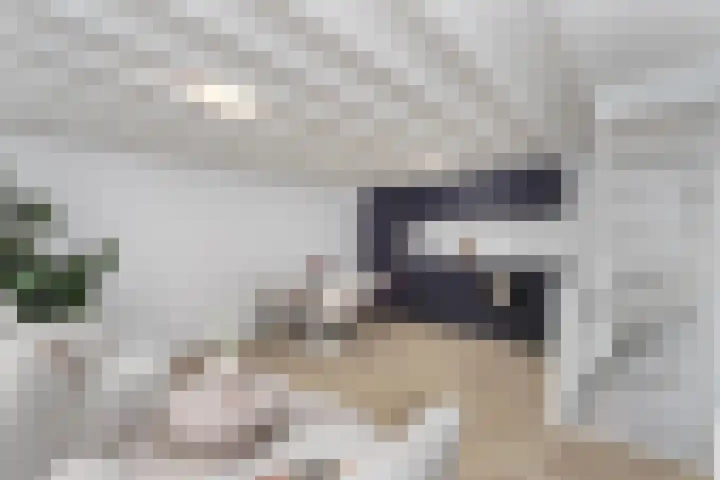 Wittevrouwenstraat 40 C Utrecht thumbnail 7