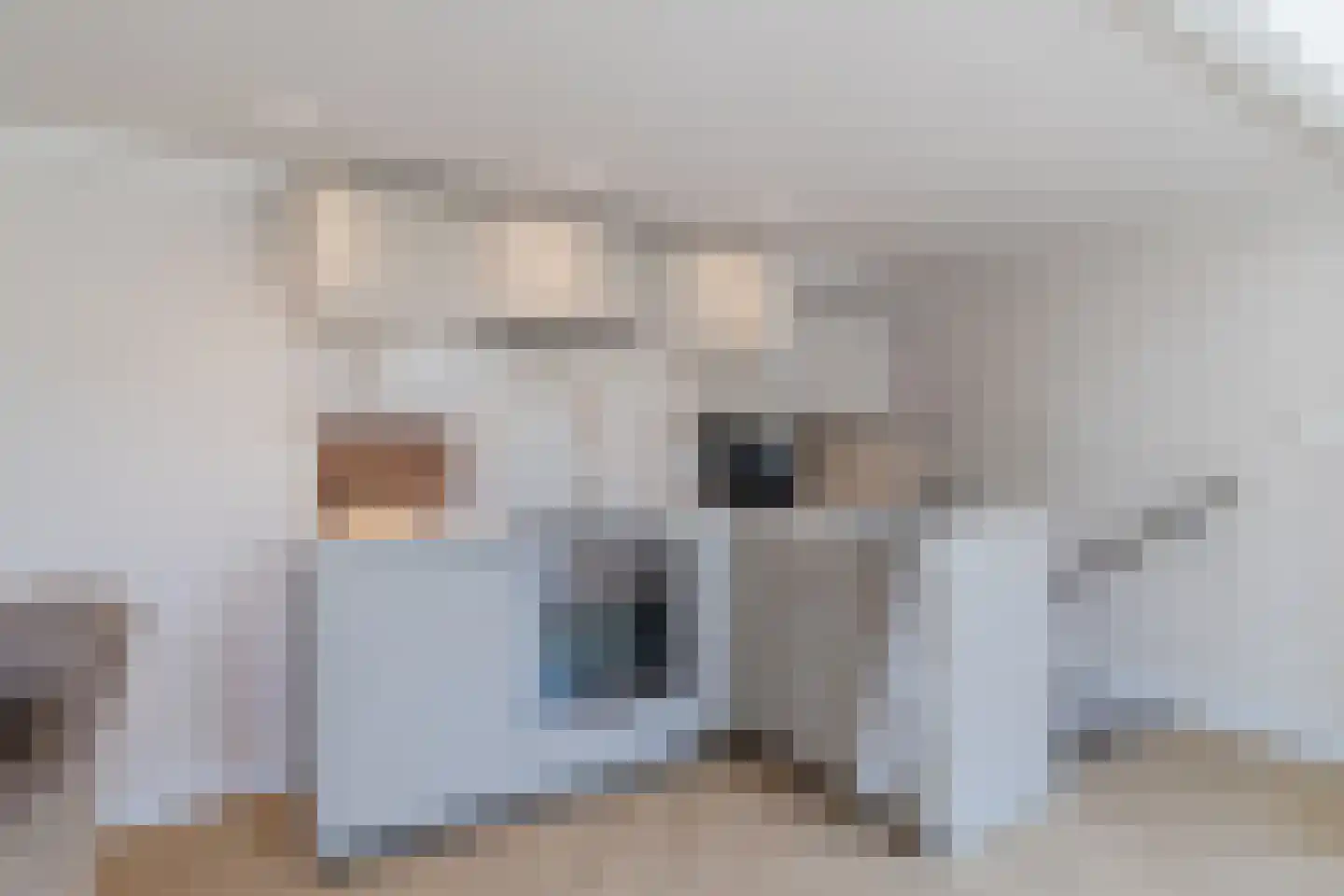 Wittevrouwenstraat 8 L Utrecht thumbnail 10