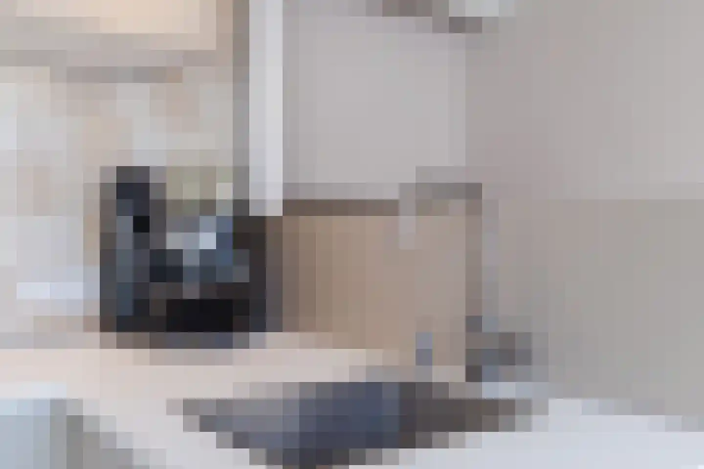 Wittevrouwenstraat 8 L Utrecht thumbnail 11