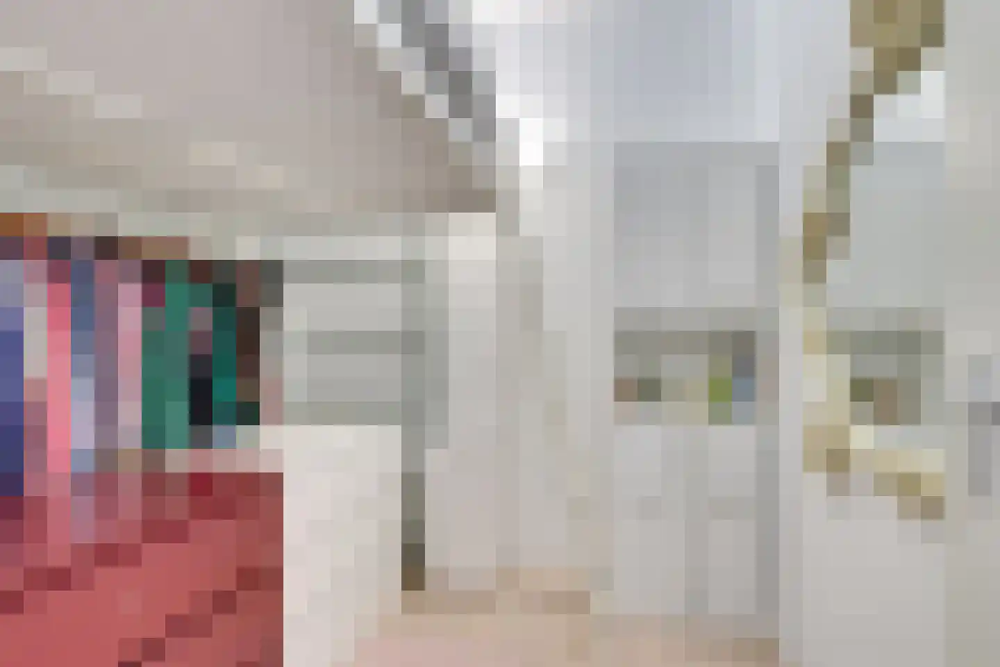 Wittevrouwenstraat 8 L Utrecht thumbnail 16