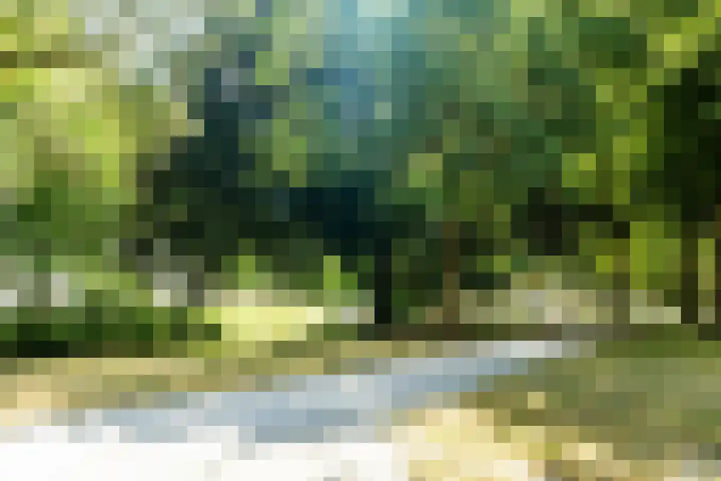 Wittevrouwenstraat 8 L Utrecht thumbnail 22