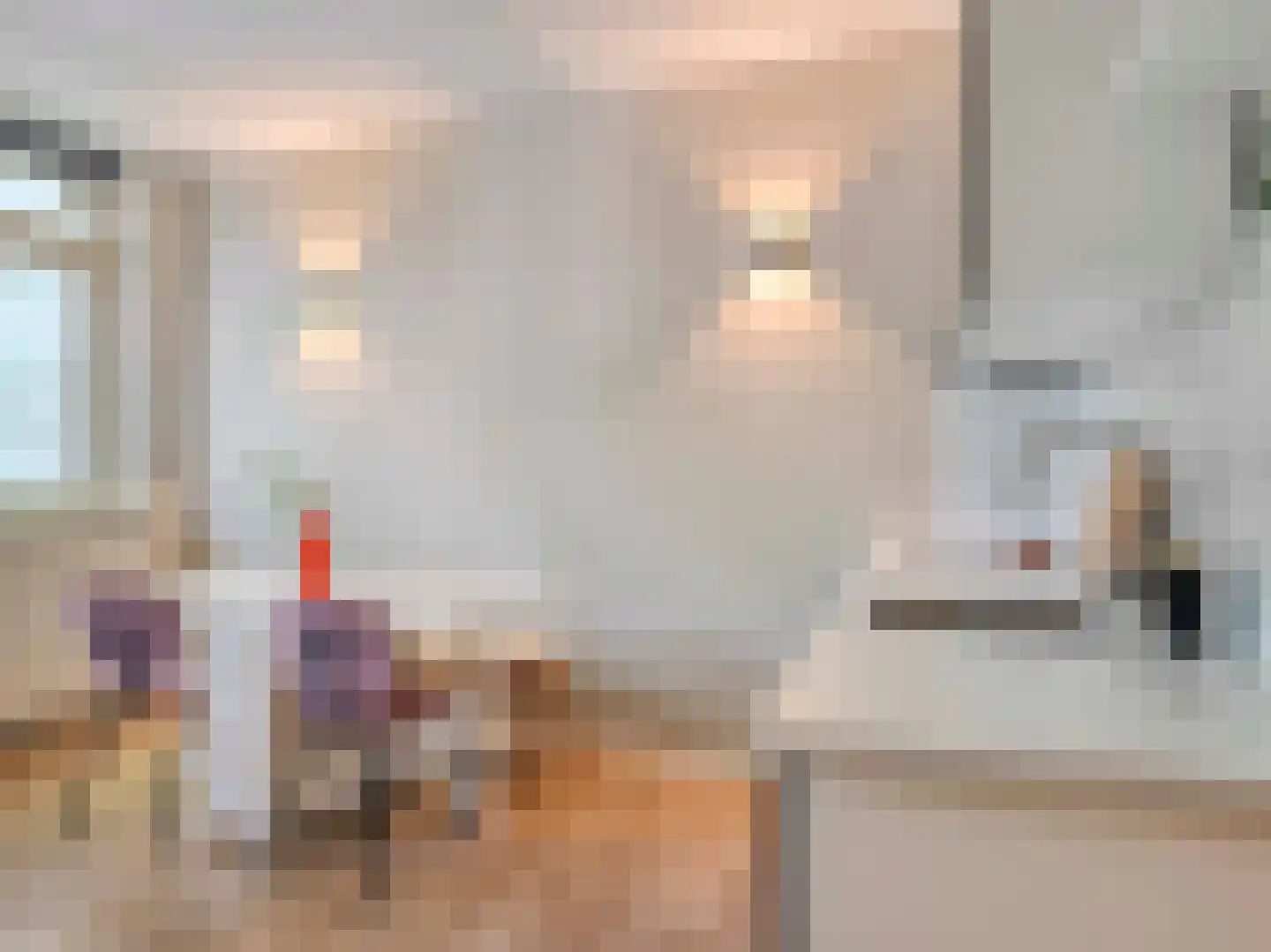 Wittevrouwenstraat 8 L Utrecht thumbnail 4