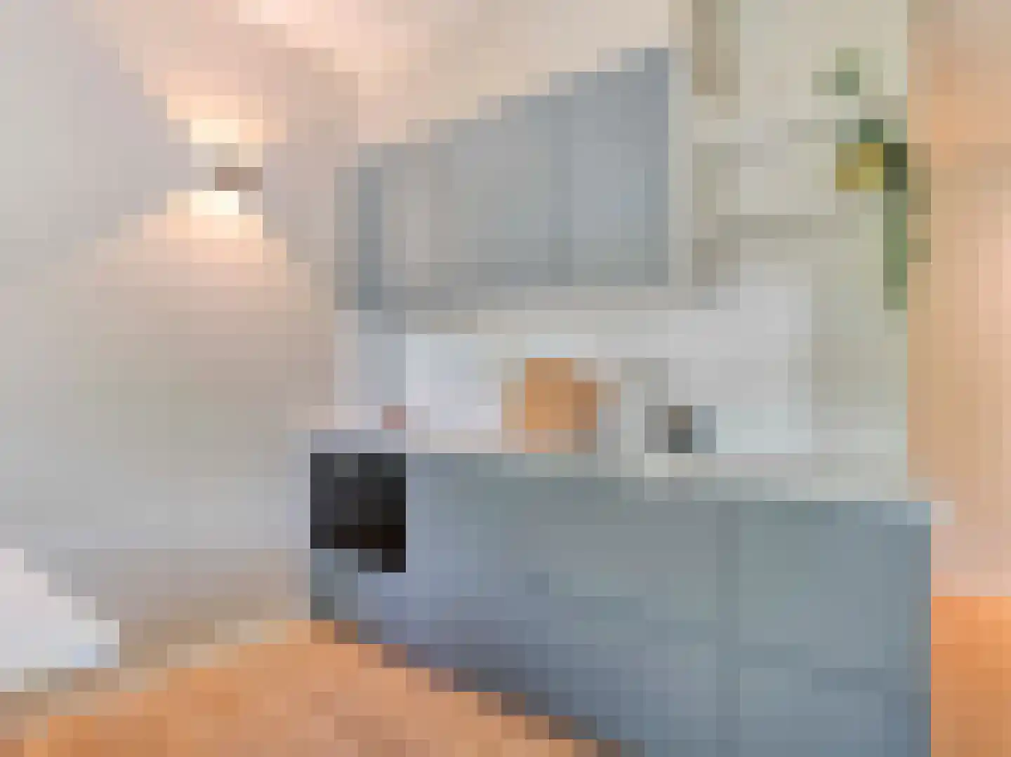 Wittevrouwenstraat 8 L Utrecht thumbnail 8