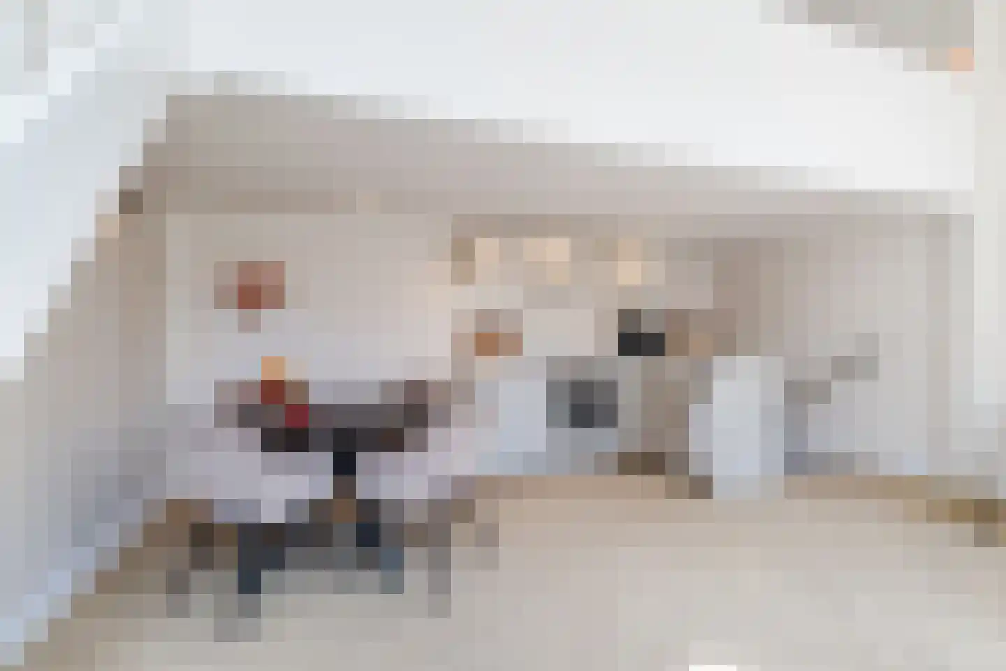 Wittevrouwenstraat 8 L Utrecht thumbnail 8