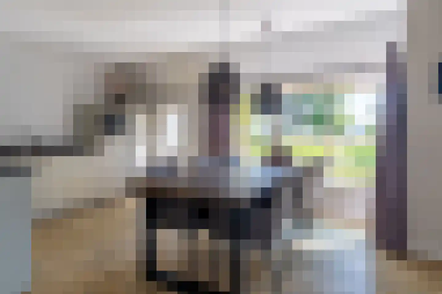 Witteweg 15 Blije thumbnail 13