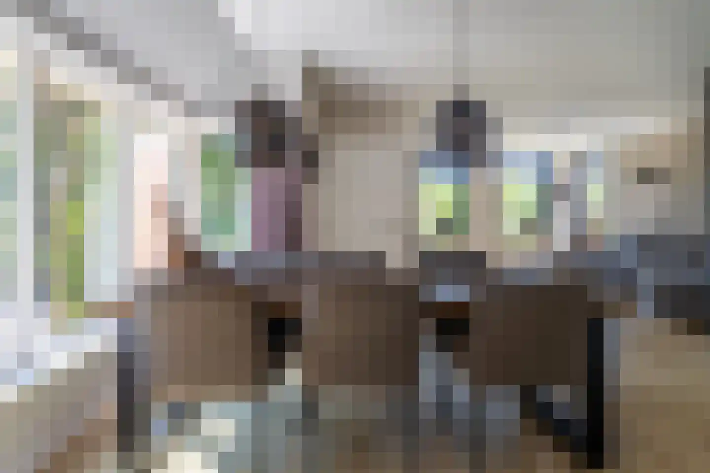 Witteweg 15 Blije thumbnail 17