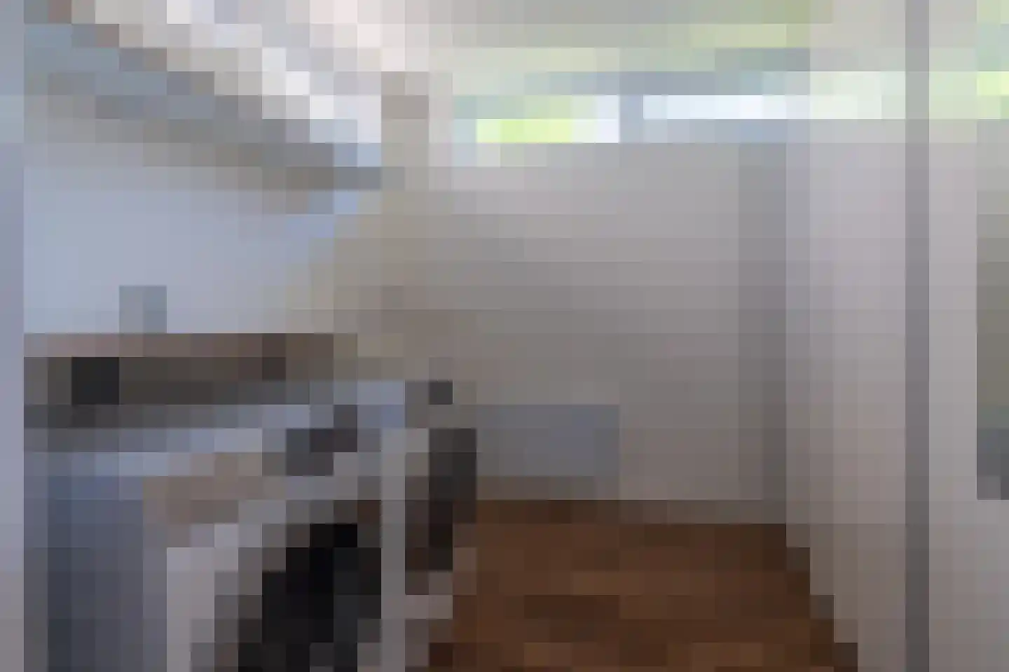 Witteweg 15 Blije thumbnail 23