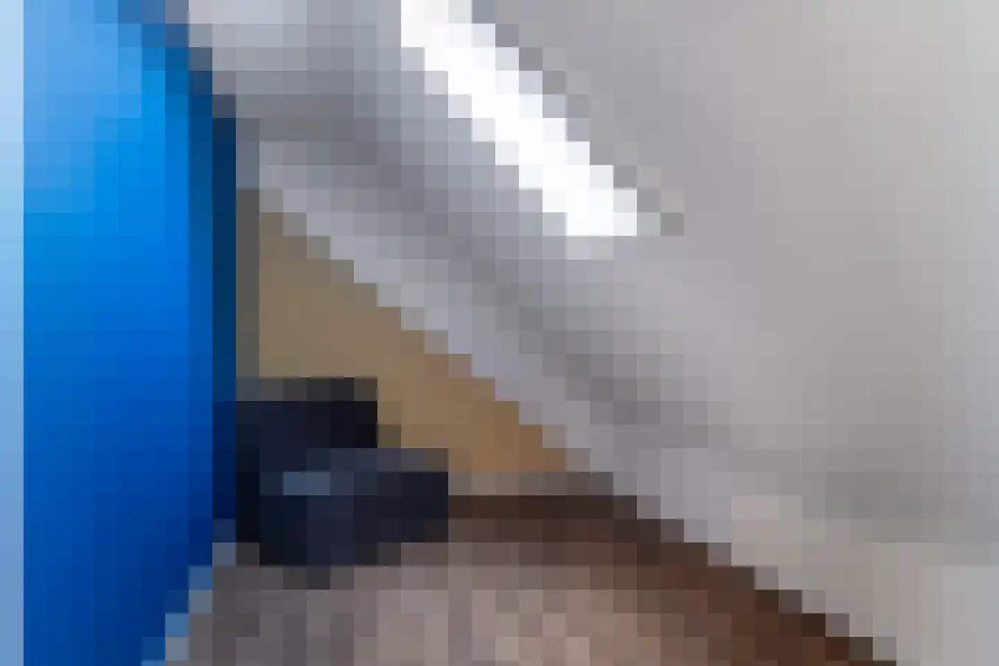Witteweg 15 Blije thumbnail 32