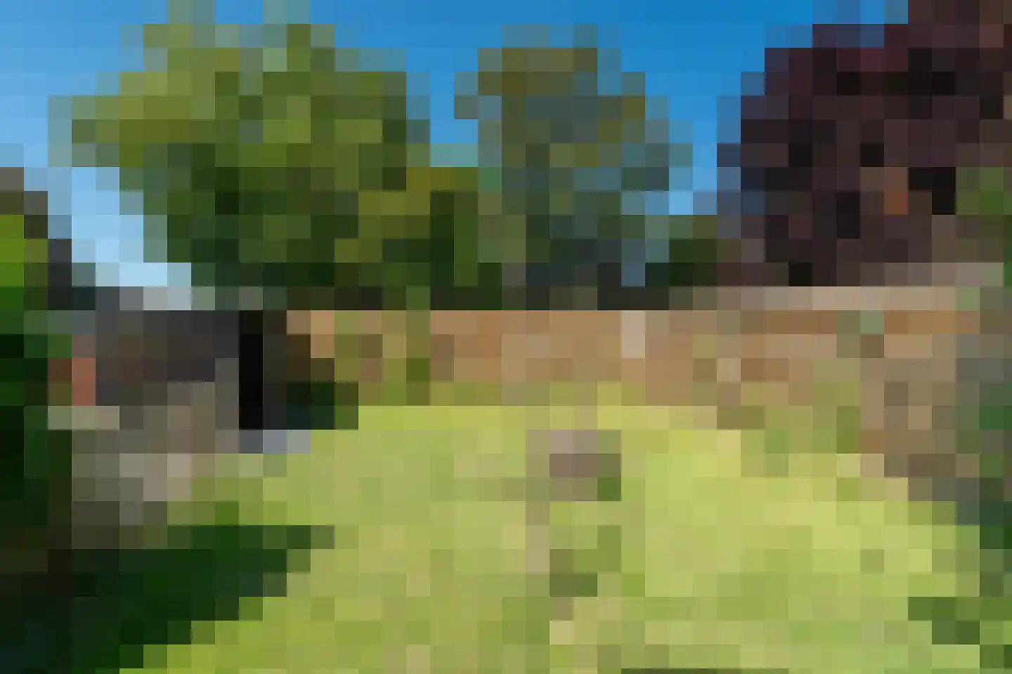 Witteweg 15 Blije thumbnail 37