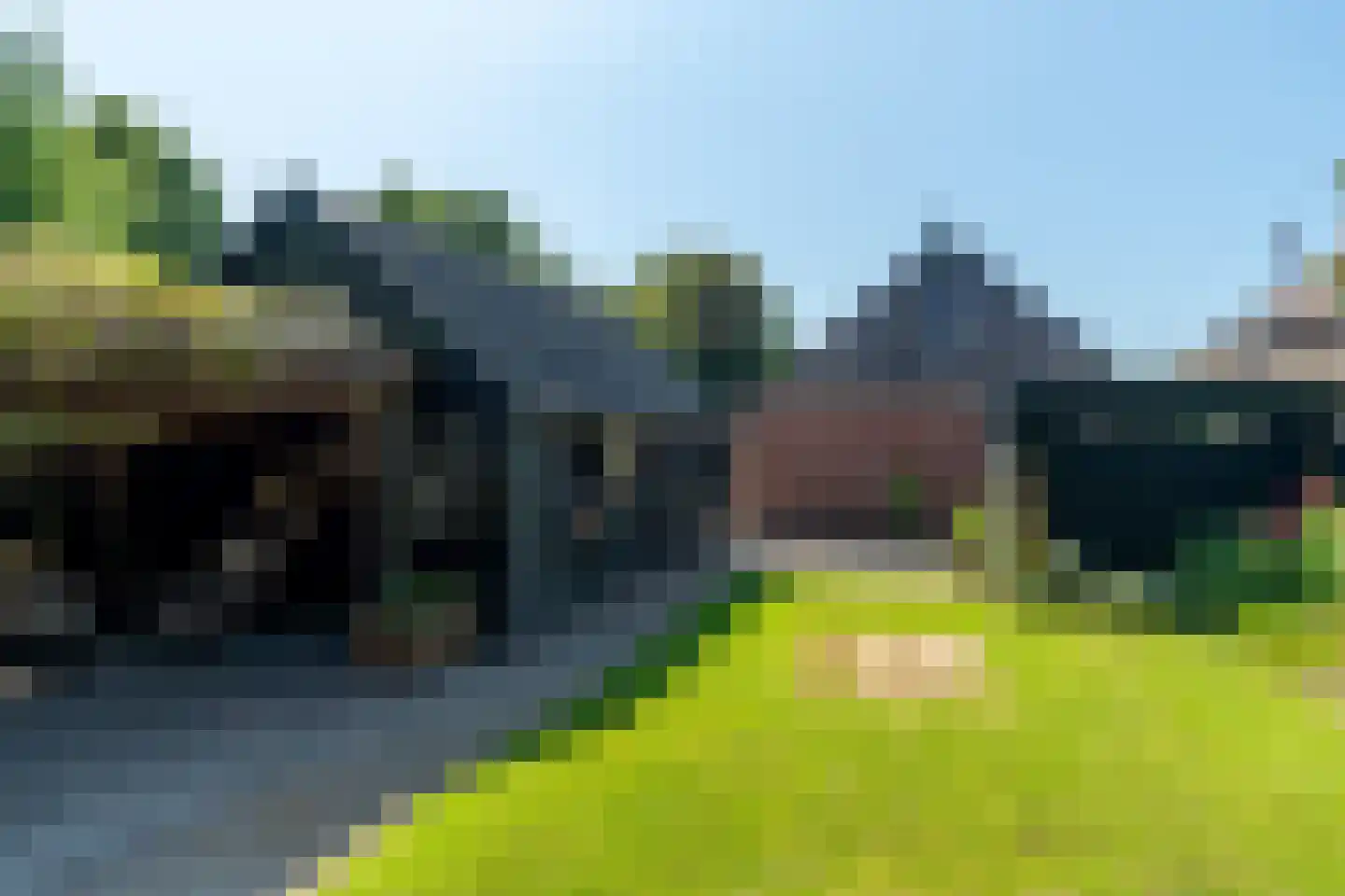 Witteweg 15 Blije thumbnail 4
