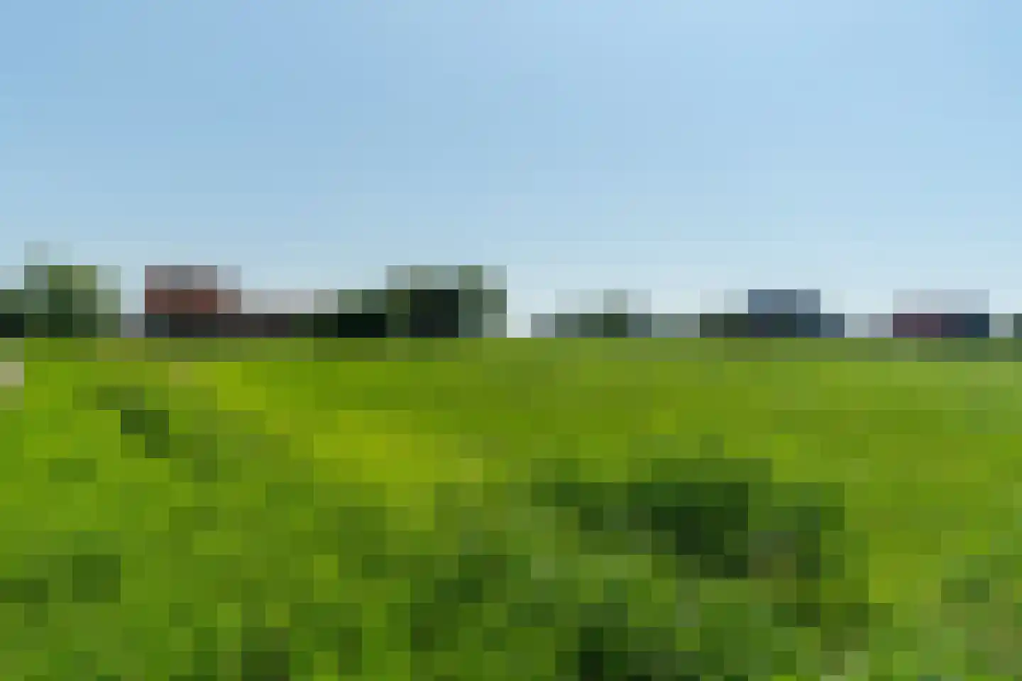 Witteweg 15 Blije thumbnail 41