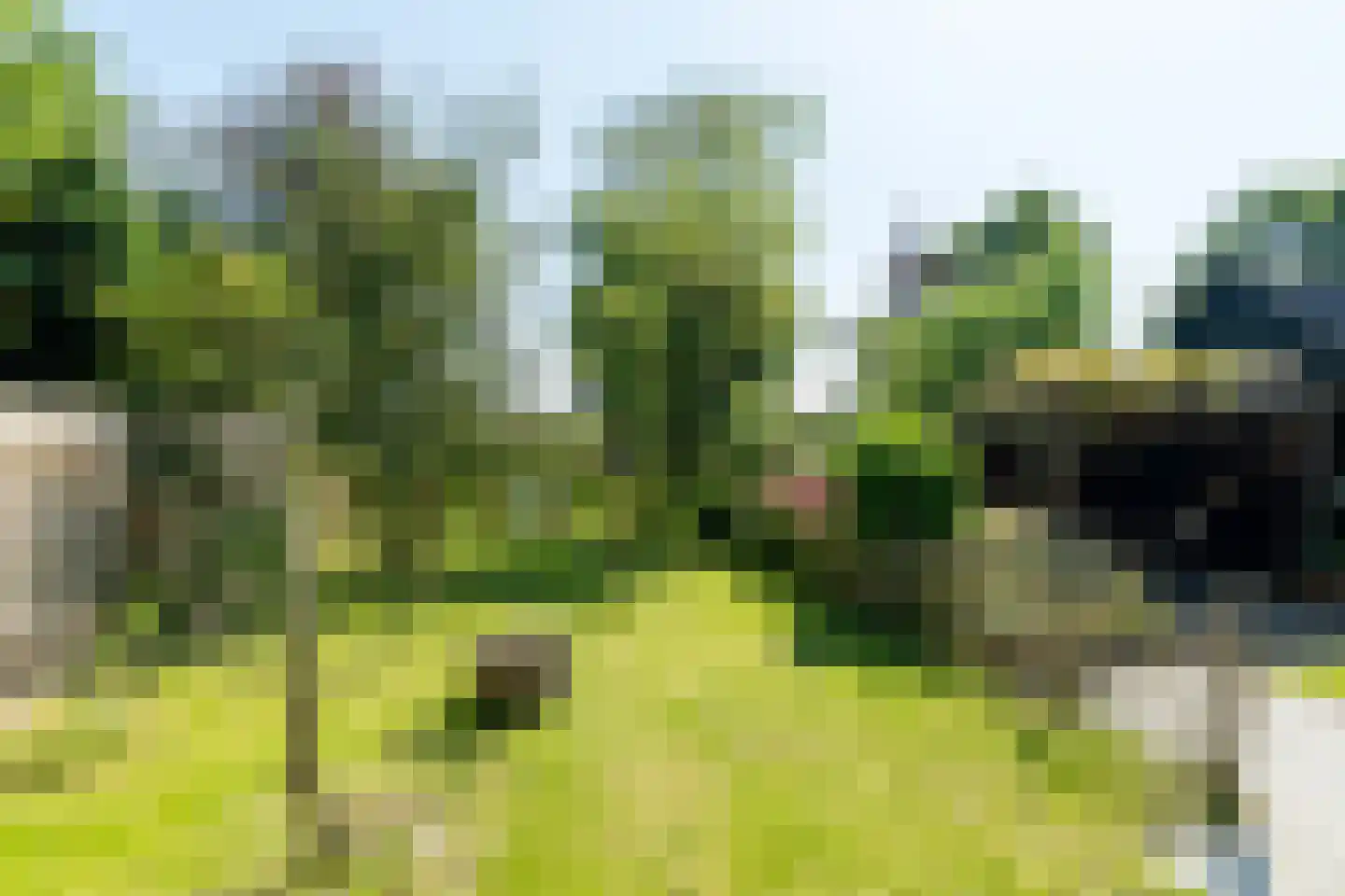 Witteweg 15 Blije thumbnail 6