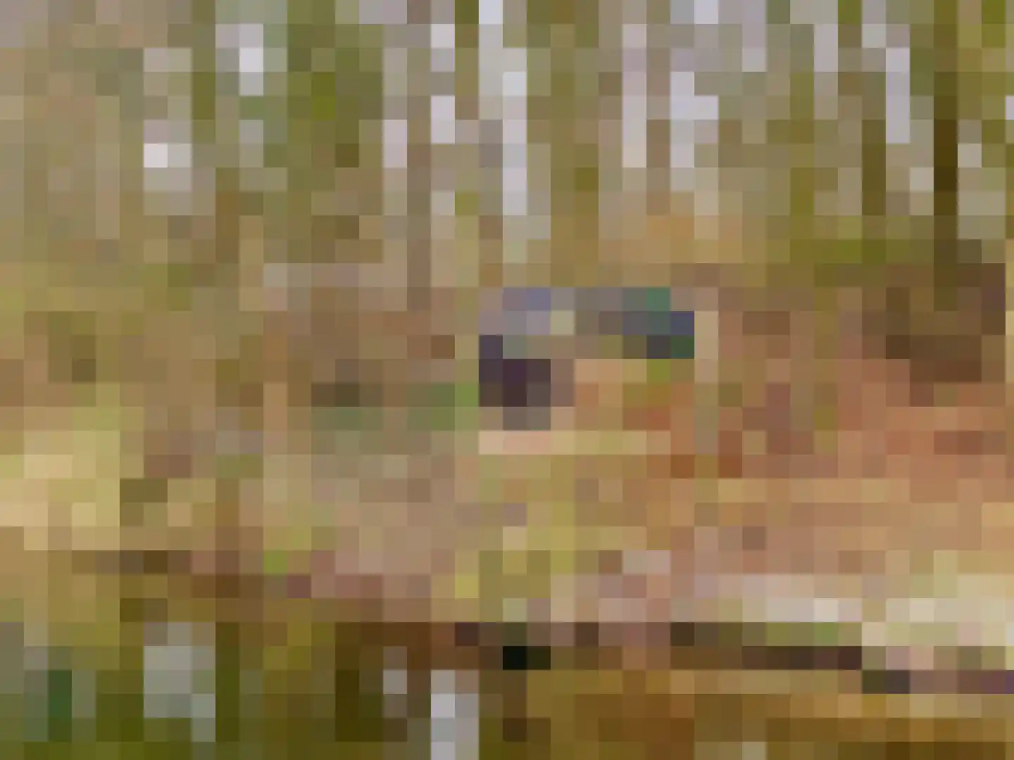 Witteweg 23 a Middelaar thumbnail 22
