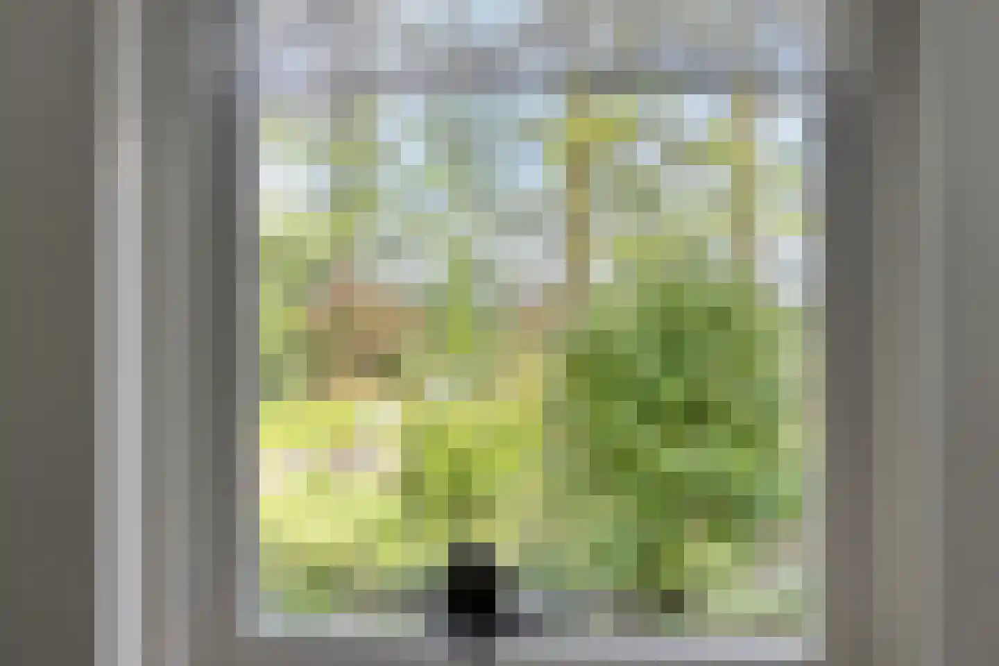 Witteweg 33 Langeveen thumbnail 19
