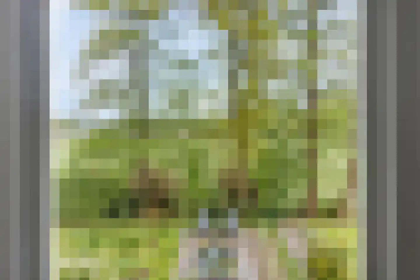 Witteweg 33 Langeveen thumbnail 29